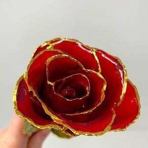 11” Real Rose Preserved in Lacquer & Trimmed in 24K Gold | Red Rose | Forever